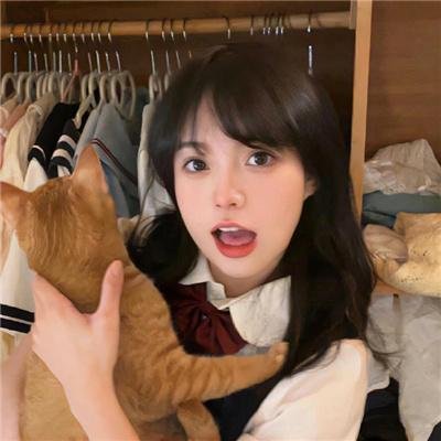 森林之北
